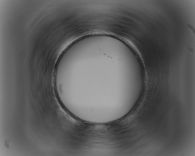 X0000102030847200807181004