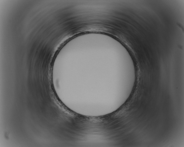 X0000102030848200807181004