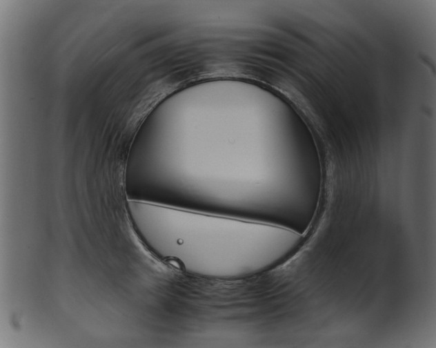 X0000102030849200807181004