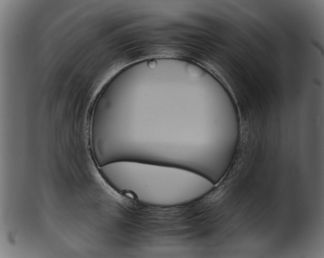 X0000102030851200807181005