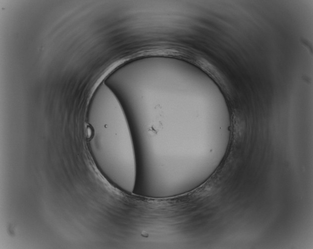 X0000102030852200807181005