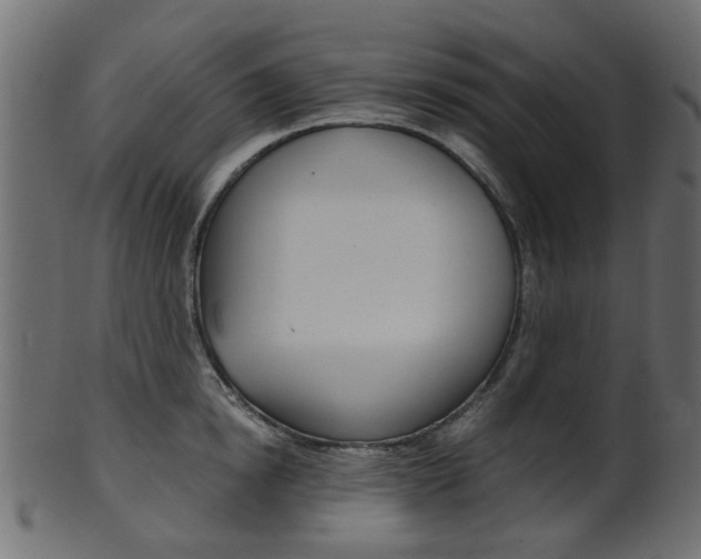 X0000102030854200807181005