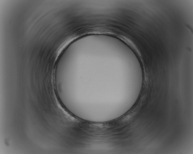 X0000102030855200807181005