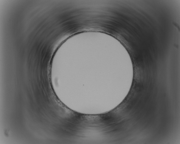X0000102030856200807181005