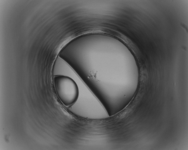 X0000102030858200807181005