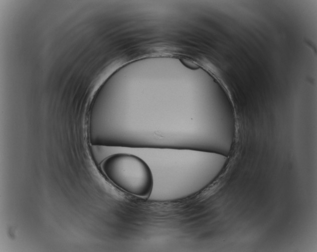 X0000102030859200807181005