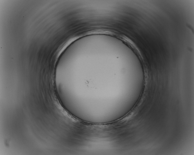 X0000102030860200807181005
