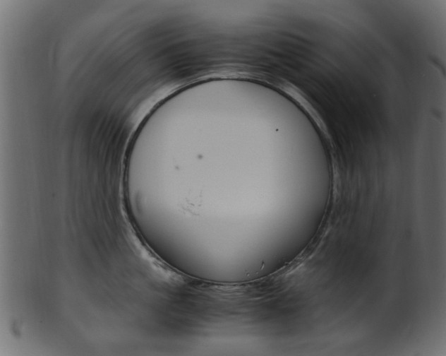 X0000102030861200807181005