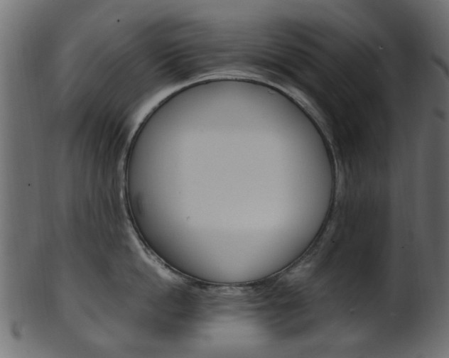 X0000102030862200807181005