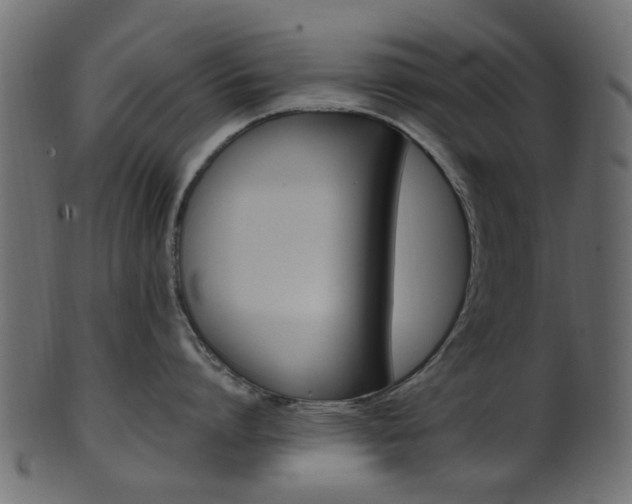 X0000102030864200807181005