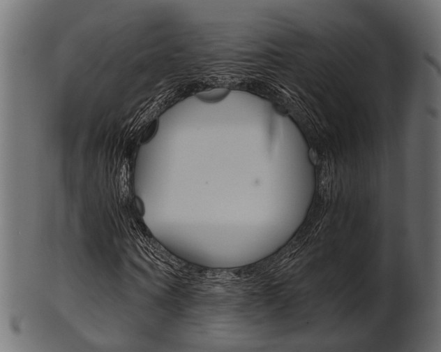 X0000102030866200807181004