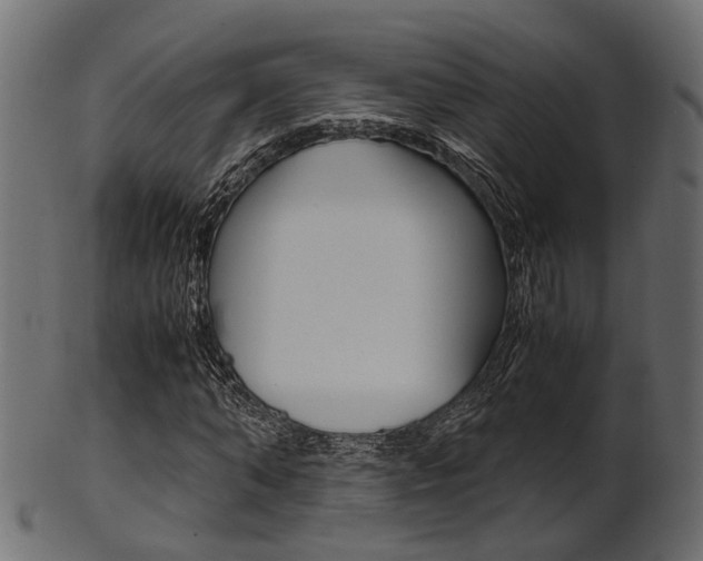 X0000102030870200807181004