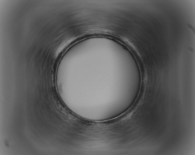 X0000102030877200807181004