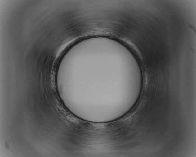 X0000102030878200807181004