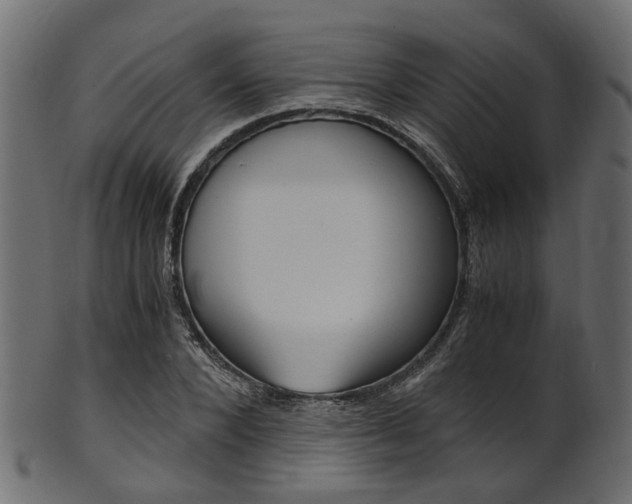X0000102030880200807181004
