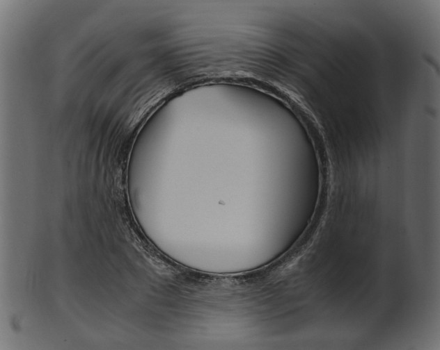 X0000102030881200807181004