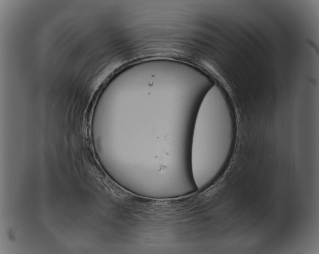 X0000102030883200807181004