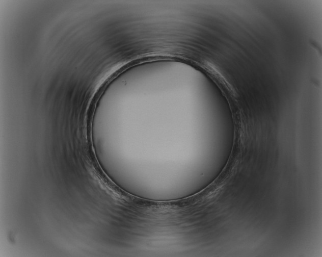 X0000102030884200807181004