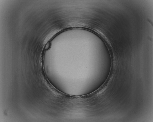 X0000102030885200807181004