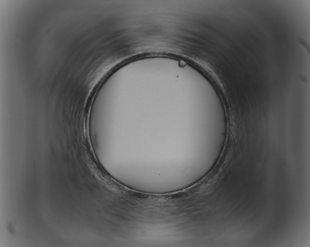 X0000102030887200807181004