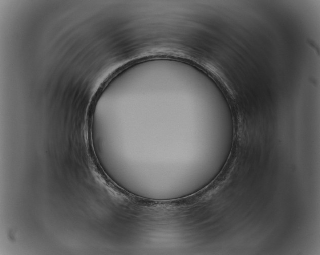 X0000102030888200807181004