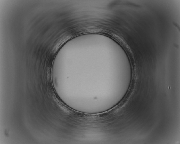 X0000102030889200807181004
