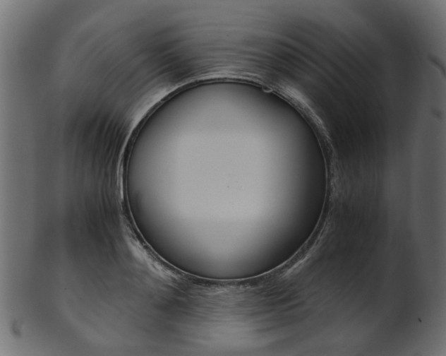 X0000102030892200807181004