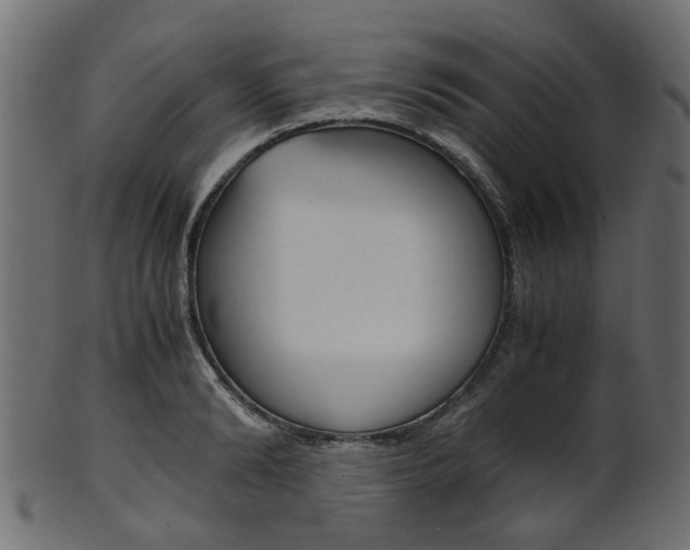 X0000102030894200807181004