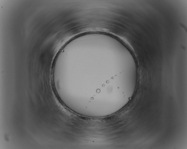 X0000102030895200807181004