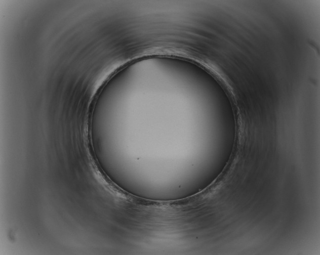 X0000102030896200807181004