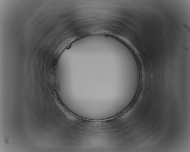 X0000102030897200807181004