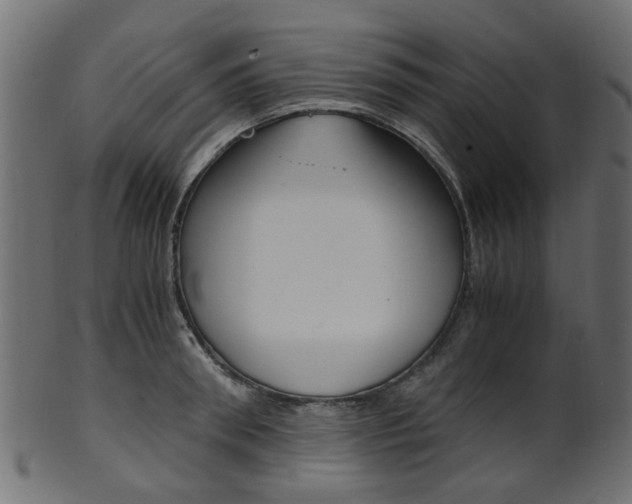 X0000102030898200807181004