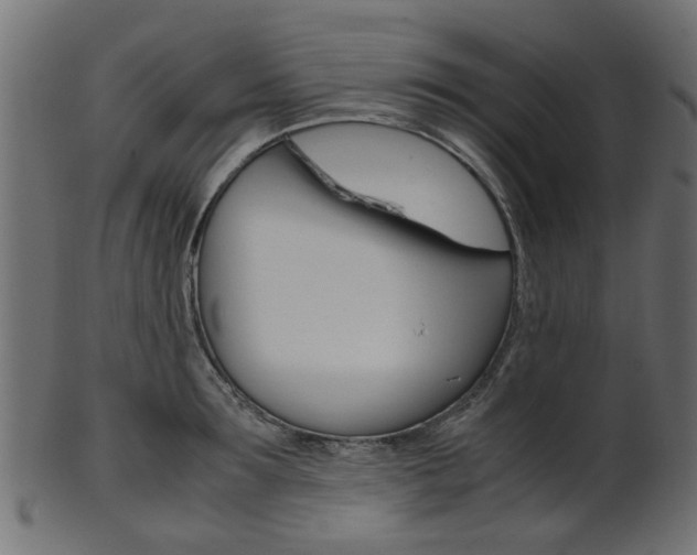 X0000102030899200807181004