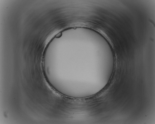 X0000102030901200807181004
