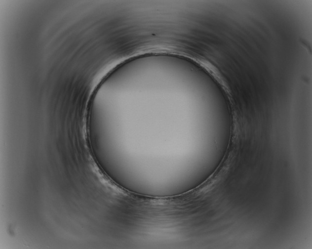 X0000102030904200807181003