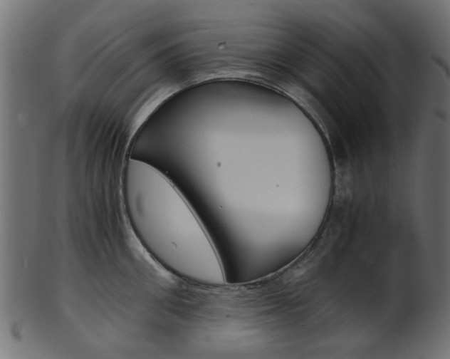 X0000102030906200807181003