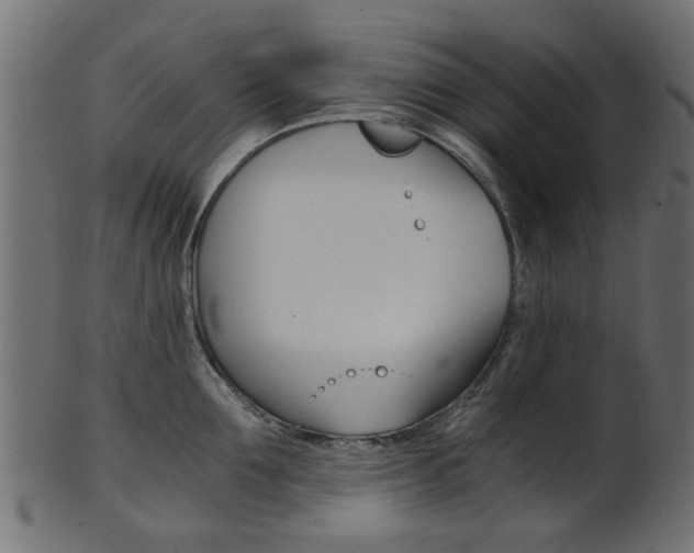 X0000102030907200807181003