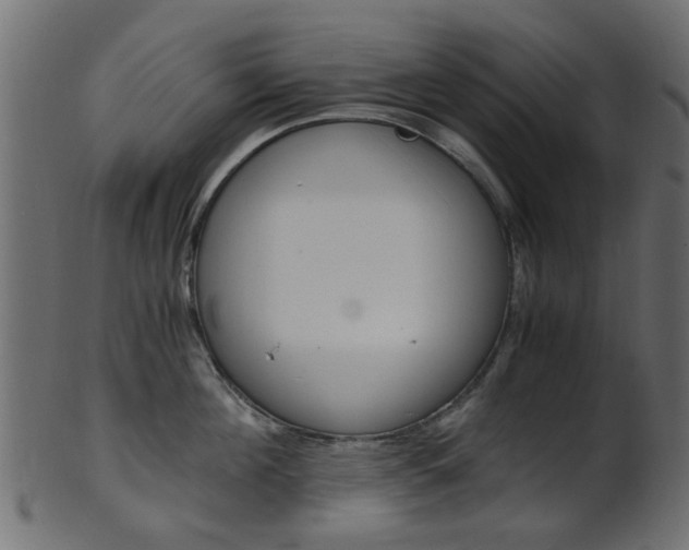 X0000102030908200807181003