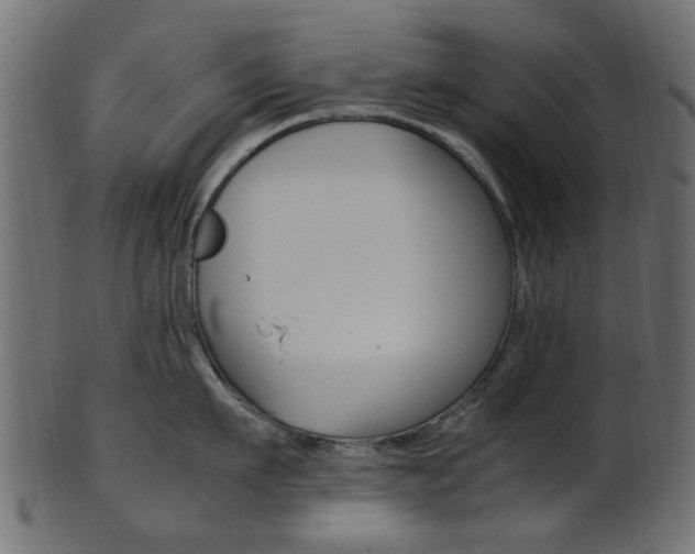 X0000102030911200807181003