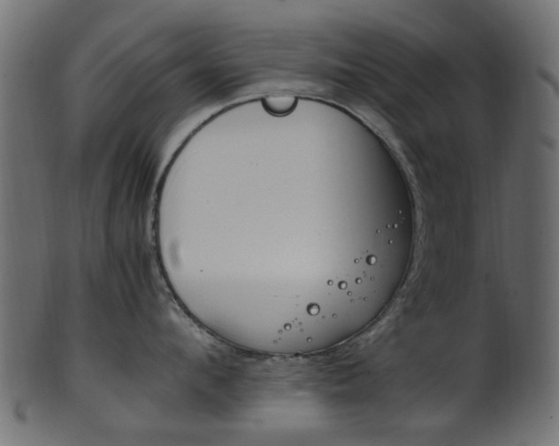 X0000102030912200807181003