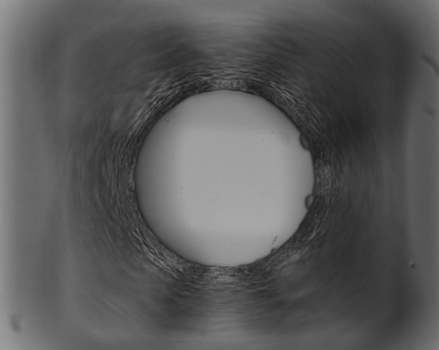 X0000102030913200807181003