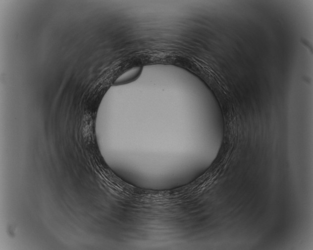 X0000102030914200807181003