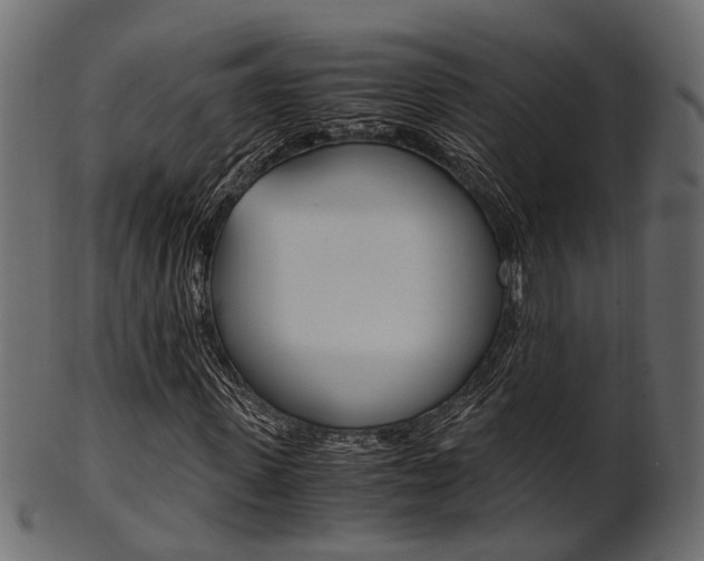 X0000102030915200807181003