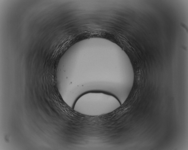 X0000102030916200807181003