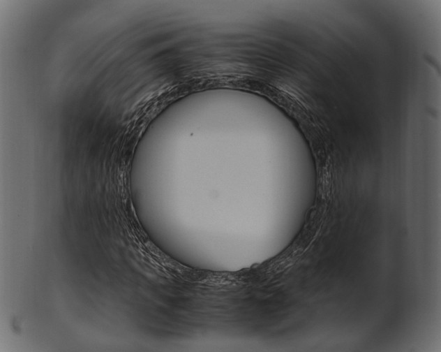 X0000102030917200807181003