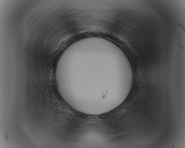 X0000102030918200807181003