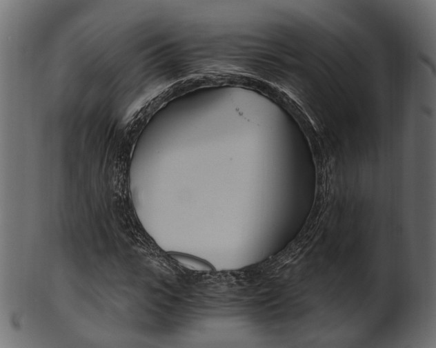 X0000102030919200807181003