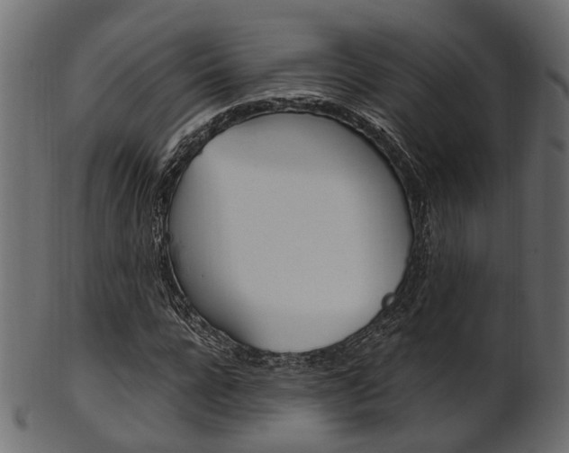 X0000102030920200807181003