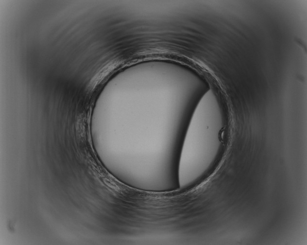 X0000102030921200807181003