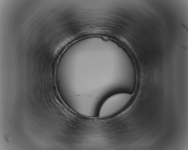 X0000102030922200807181003